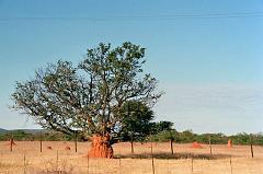 Namibia0127