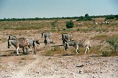 Namibia0166