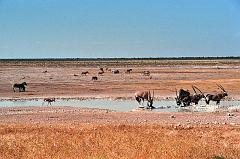 Namibia0170