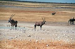 Namibia0171