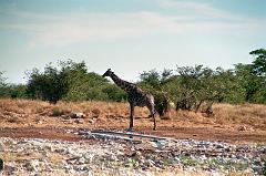 Namibia0183