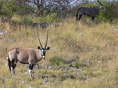 Namibia0217