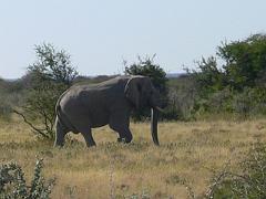 Namibia0222