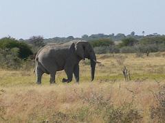 Namibia0223