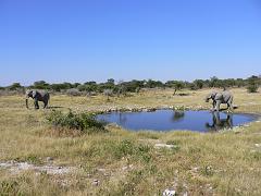 Namibia0232