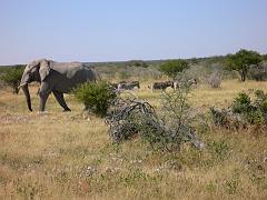 Namibia0240