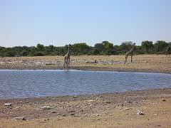 Namibia0242