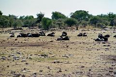 Namibia0286