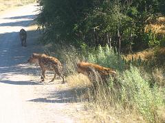 Namibia0324