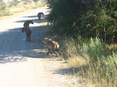 Namibia0325