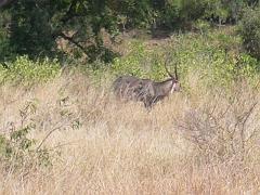 Suedafrika0044