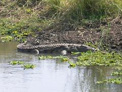 Suedafrika0051