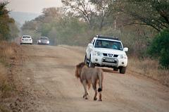 Suedafrika0086