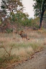 Suedafrika0087