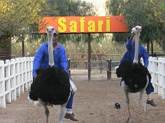 Suedafrika0234
