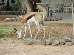 NamibiaBotswana019