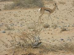 NamibiaBotswana042