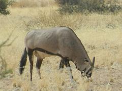 NamibiaBotswana053