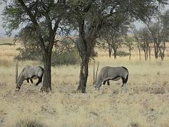 NamibiaBotswana055