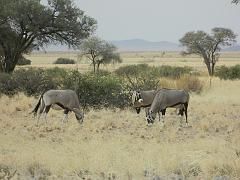 NamibiaBotswana056