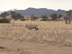 NamibiaBotswana057