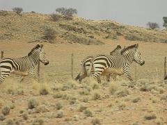 NamibiaBotswana059