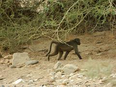 NamibiaBotswana061