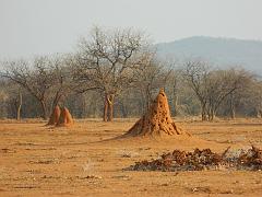 NamibiaBotswana134