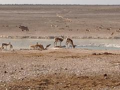 NamibiaBotswana168