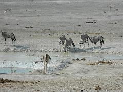 NamibiaBotswana180