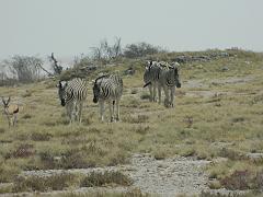 NamibiaBotswana185