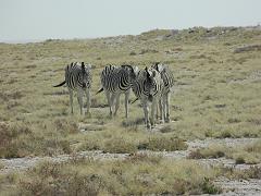 NamibiaBotswana186