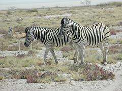 NamibiaBotswana188