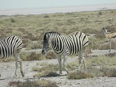 NamibiaBotswana189