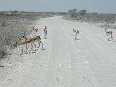 NamibiaBotswana196