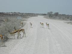 NamibiaBotswana197