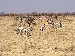 NamibiaBotswana206