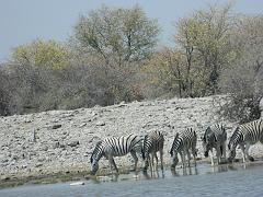 NamibiaBotswana208