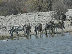 NamibiaBotswana209