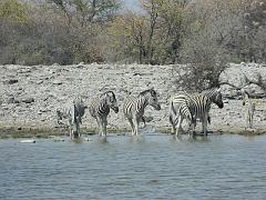 NamibiaBotswana210