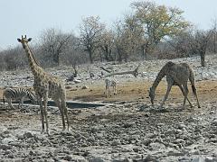 NamibiaBotswana214