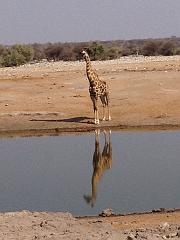 NamibiaBotswana218