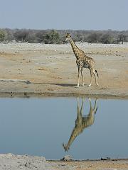 NamibiaBotswana220