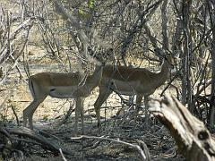 NamibiaBotswana308