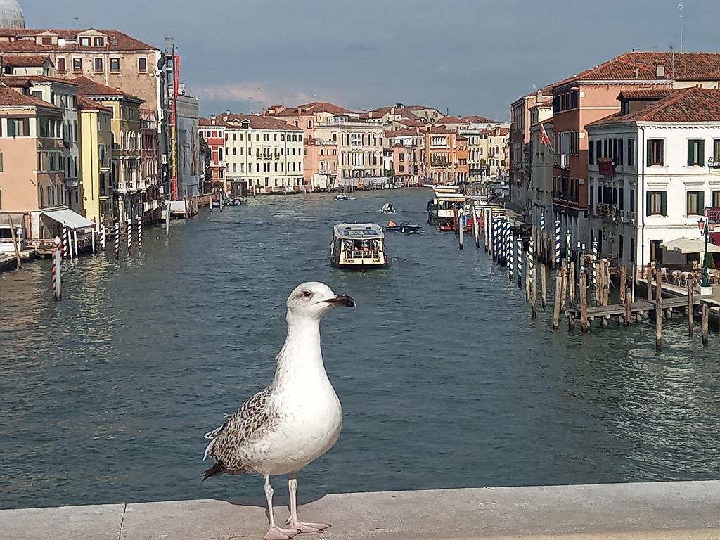 Venedig475