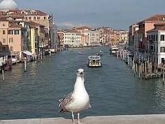 Venedig474