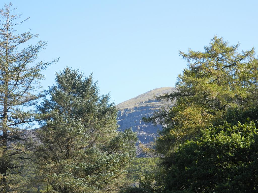 Grossbritannien0471