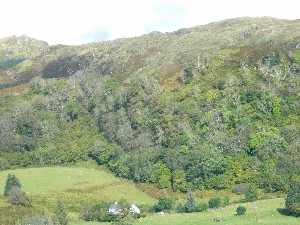 Grossbritannien0792