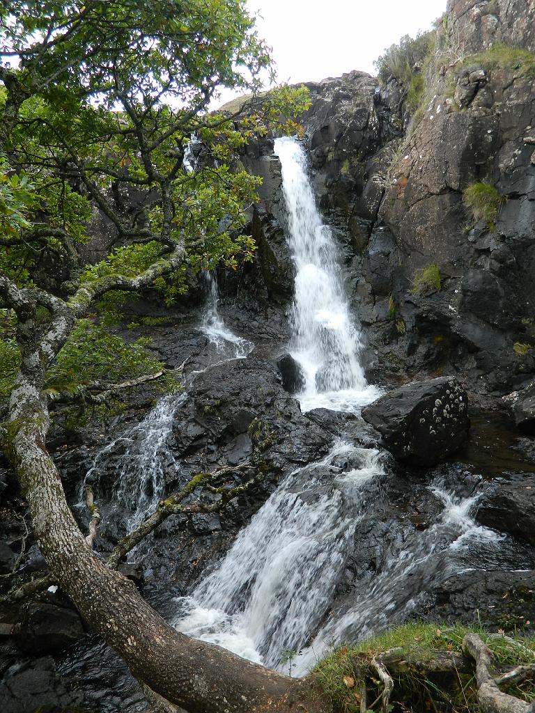 Grossbritannien0887