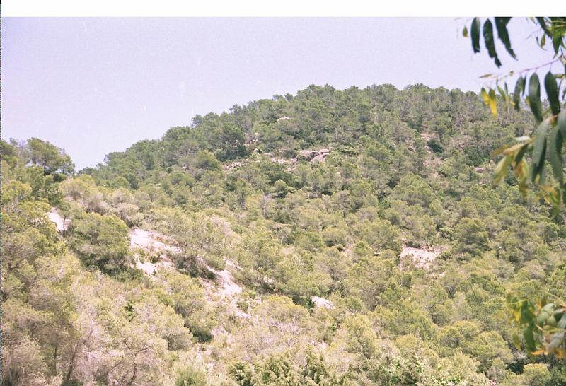 Ibiza002